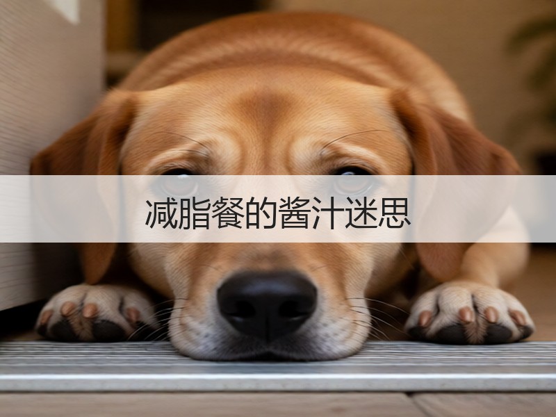 减脂餐的酱汁迷思