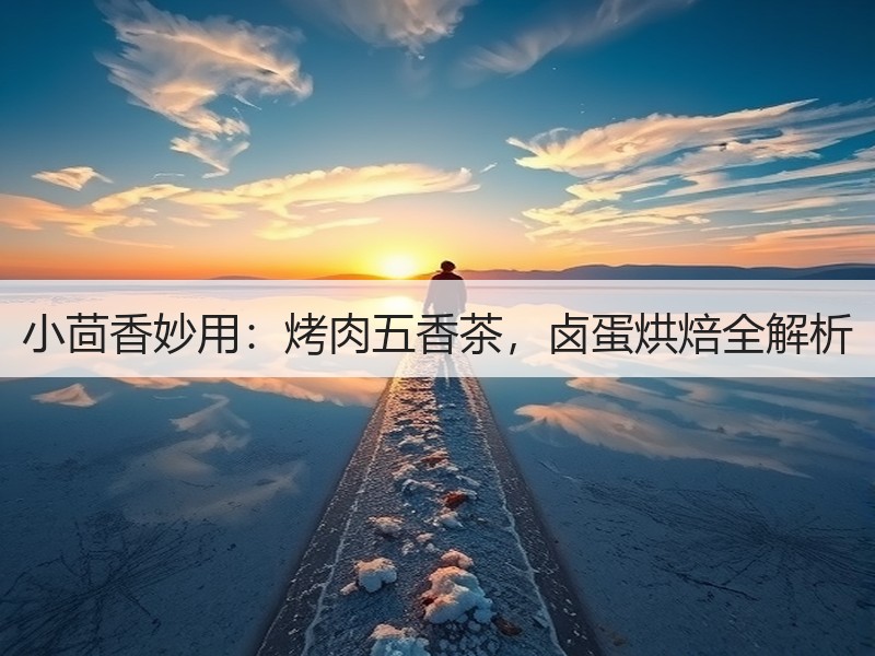 小茴香妙用：烤肉五香茶，卤蛋烘焙全解析