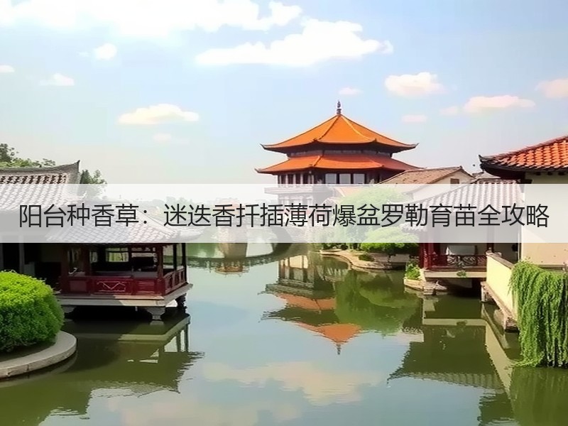 阳台种香草：迷迭香扦插薄荷爆盆罗勒育苗全攻略