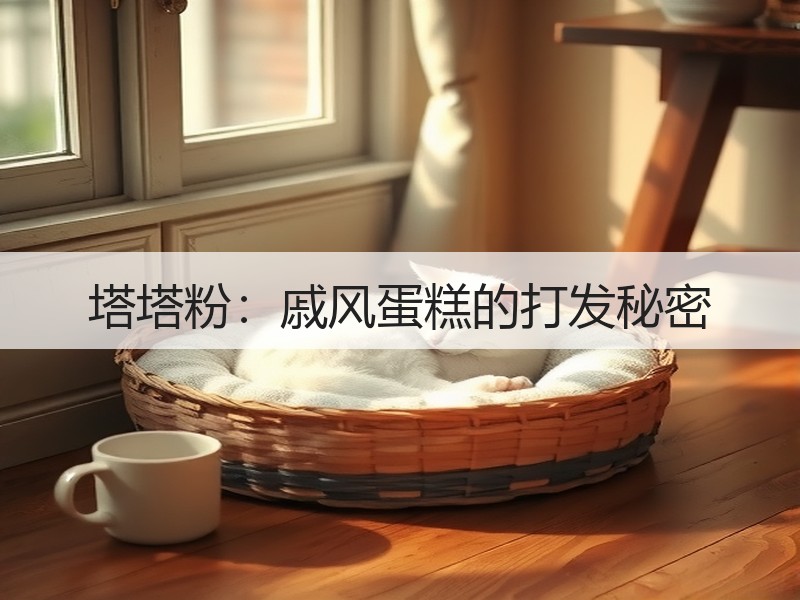 塔塔粉：戚风蛋糕的打发秘密