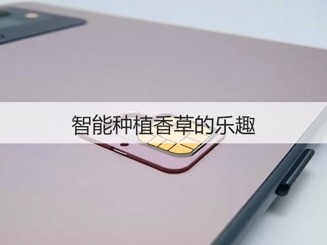 智能种植香草的乐趣(图2) 智能种植香草的乐趣(图2)