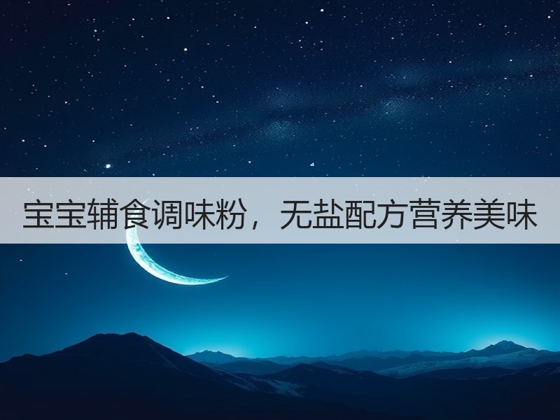 宝宝辅食调味粉，无盐配方营养美味