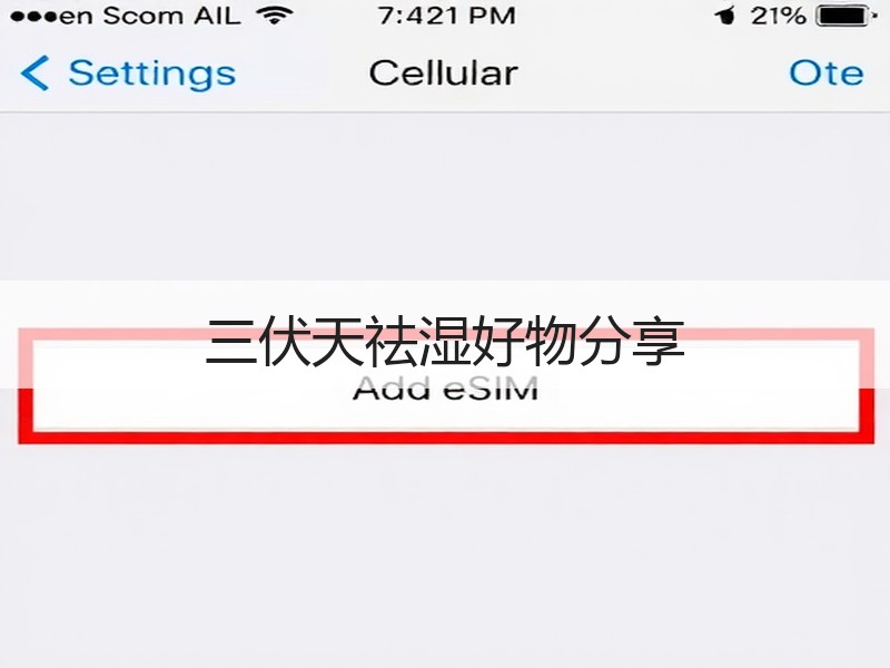 三伏天祛湿好物分享