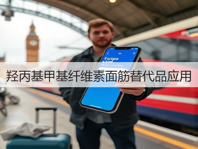 羟丙基甲基纤维素面筋替代品应用(图3) 羟丙基甲基纤维素面筋替代品应用(图3)
