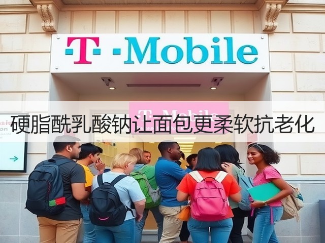 硬脂酰乳酸钠让面包更柔软抗老化(图1) 硬脂酰乳酸钠让面包更柔软抗老化(图1)