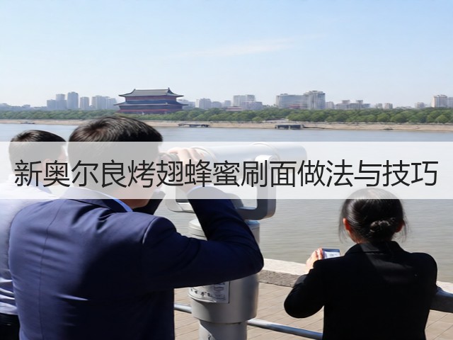 新奥尔良烤翅蜂蜜刷面做法与技巧(图3) 新奥尔良烤翅蜂蜜刷面做法与技巧(图3)