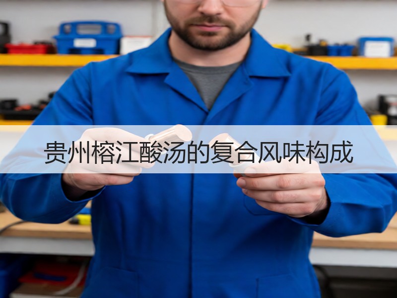 贵州榕江酸汤的复合风味构成