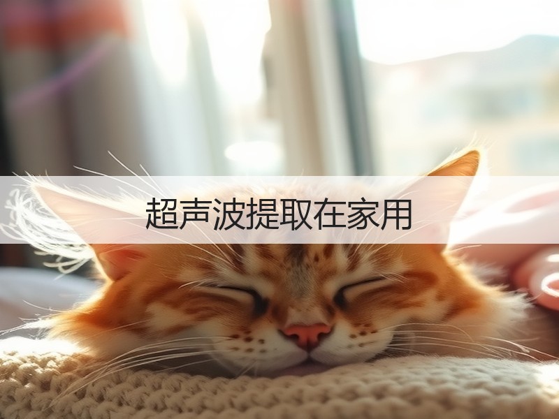 超声波提取在家用