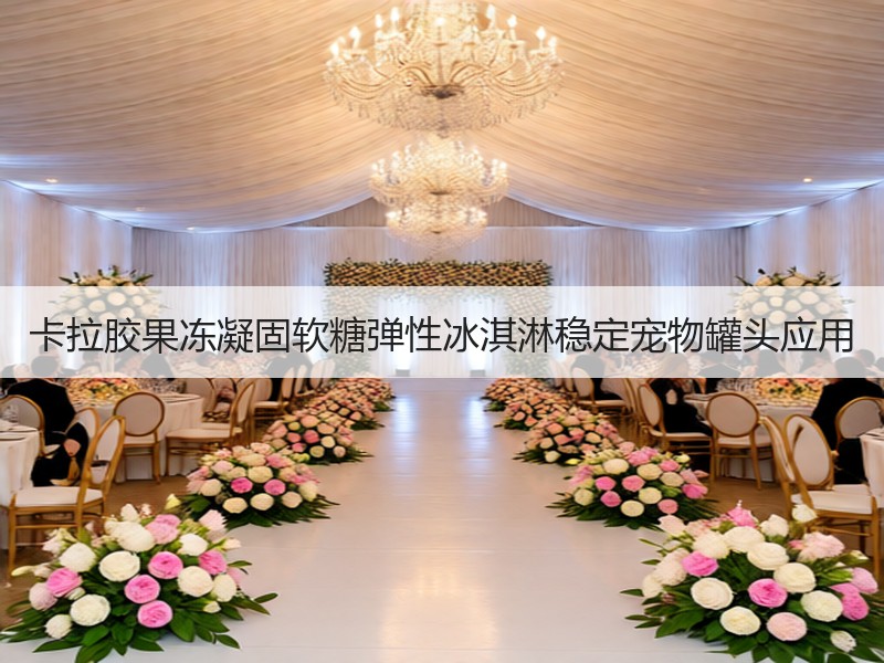 卡拉胶果冻凝固软糖弹性冰淇淋稳定宠物罐头应用