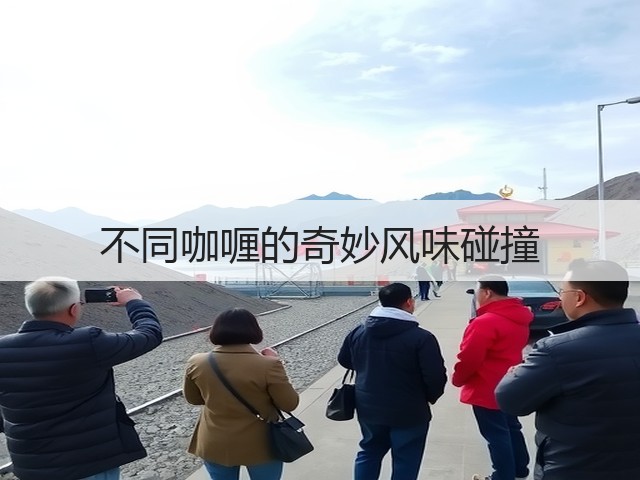 不同咖喱的奇妙风味碰撞(图2) 不同咖喱的奇妙风味碰撞(图2)