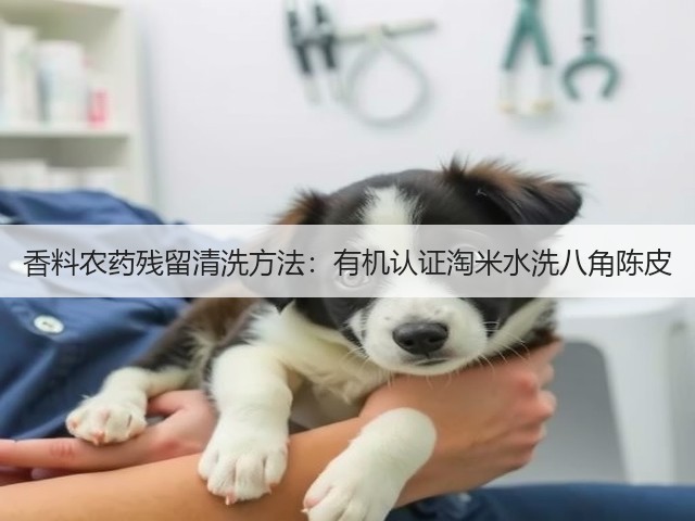 香料农药残留清洗方法:有机认证淘米水洗八角陈皮(图1) 香料农药残留清洗方法:有机认证淘米水洗八角陈皮(图1)