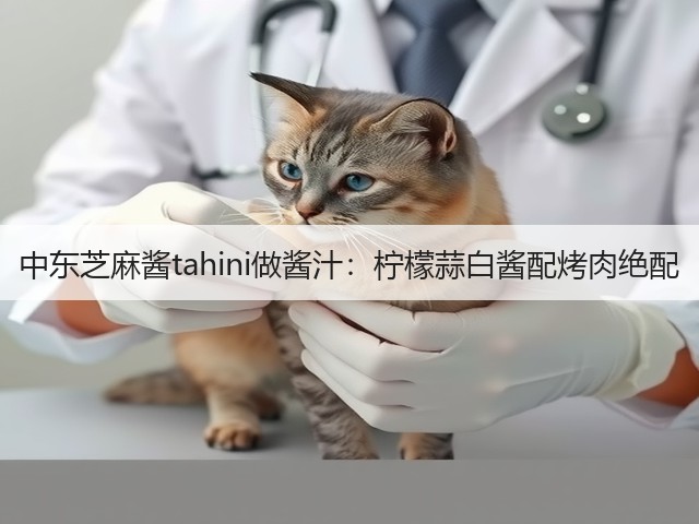 中东芝麻酱tahini做酱汁:柠檬蒜白酱配烤肉绝配(图3) 中东芝麻酱tahini做酱汁:柠檬蒜白酱配烤肉绝配(图3)