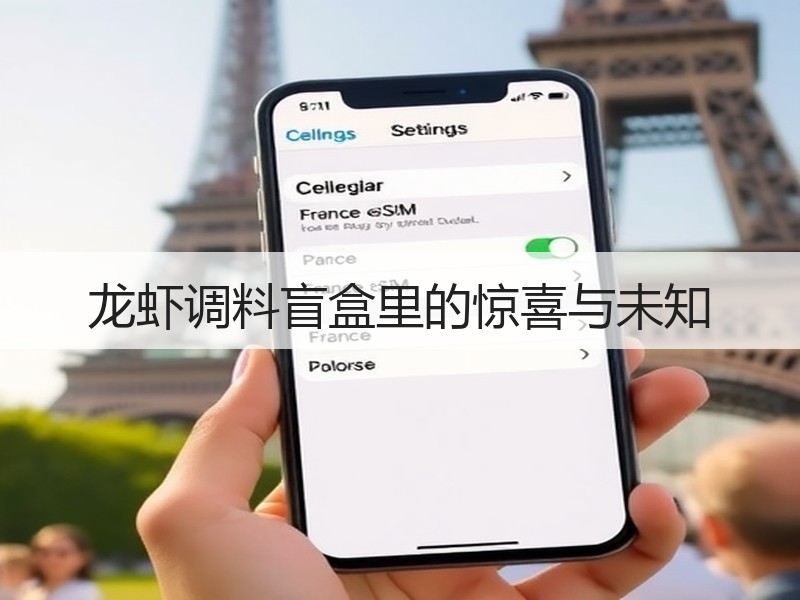 龙虾调料盲盒里的惊喜与未知
