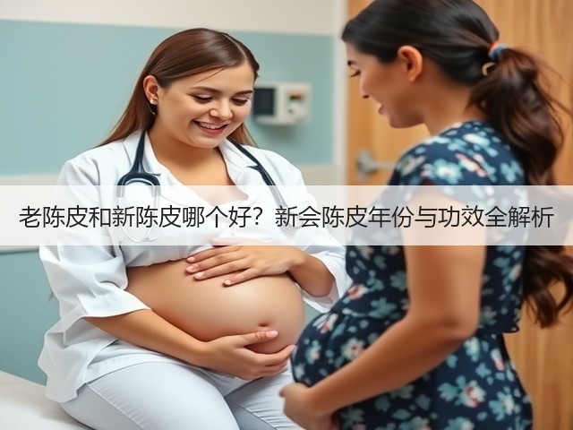 老陈皮和新陈皮哪个好?新会陈皮年份与功效全解析(图1) 老陈皮和新陈皮哪个好?新会陈皮年份与功效全解析(图1)
