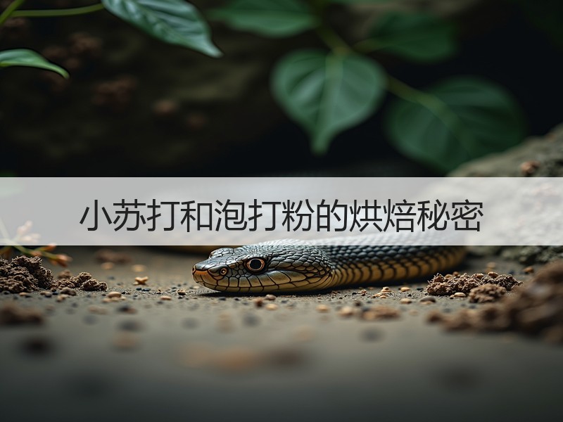 小苏打和泡打粉的烘焙秘密
