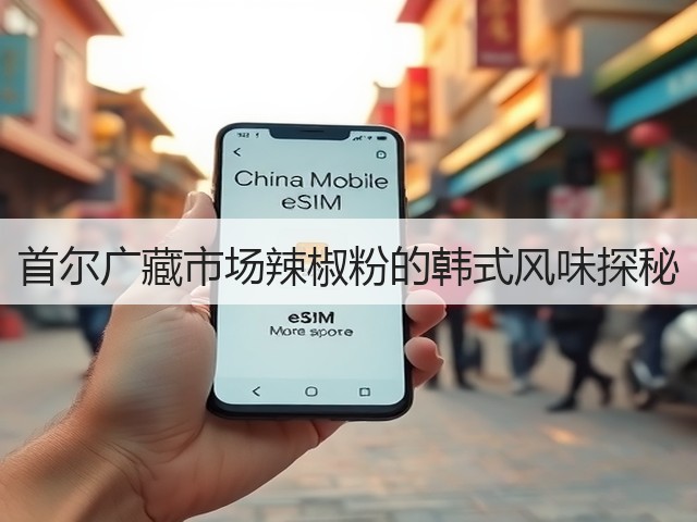首尔广藏市场辣椒粉的韩式风味探秘(图3) 首尔广藏市场辣椒粉的韩式风味探秘(图3)