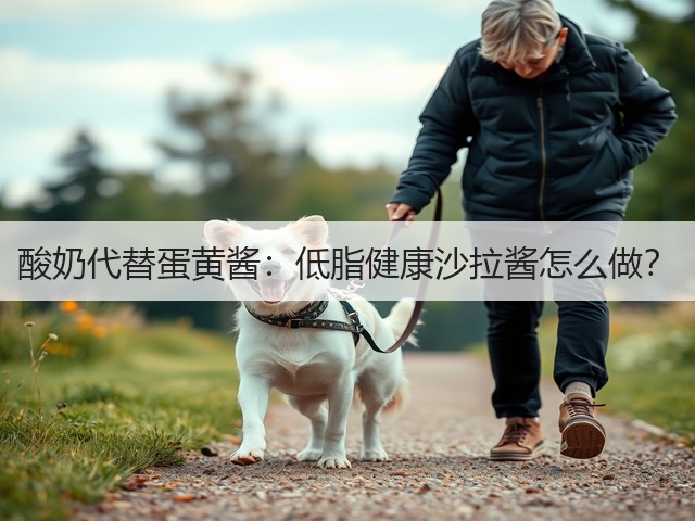 酸奶代替蛋黄酱:低脂健康沙拉酱怎么做?(图3) 酸奶代替蛋黄酱:低脂健康沙拉酱怎么做?(图3)