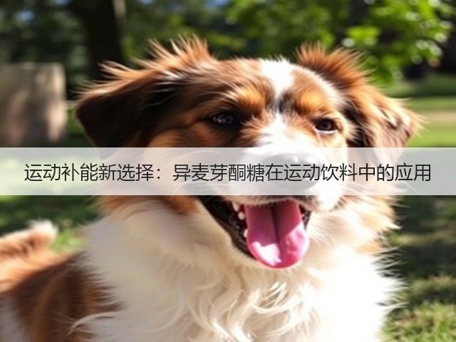 运动补能新选择:异麦芽酮糖在运动饮料中的应用(图2) 运动补能新选择:异麦芽酮糖在运动饮料中的应用(图2)