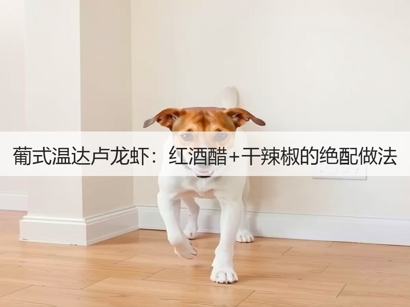 葡式温达卢龙虾：红酒醋+干辣椒的绝配做法