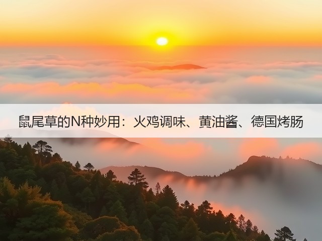 鼠尾草的N种妙用:火鸡调味、黄油酱、德国烤肠(图2) 鼠尾草的N种妙用:火鸡调味、黄油酱、德国烤肠(图2)