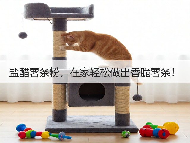 盐醋薯条粉,在家轻松做出香脆薯条!(图3) 盐醋薯条粉,在家轻松做出香脆薯条!(图3)