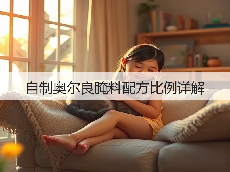 自制奥尔良腌料配方比例详解