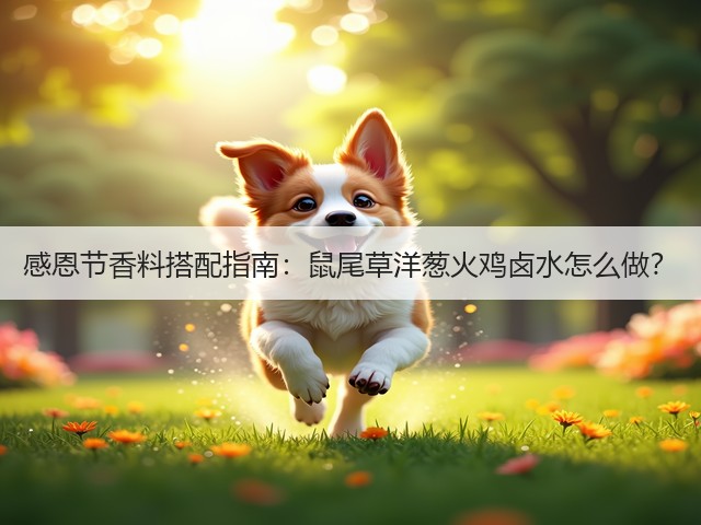 感恩节香料搭配指南:鼠尾草洋葱火鸡卤水怎么做?(图3) 感恩节香料搭配指南:鼠尾草洋葱火鸡卤水怎么做?(图3)