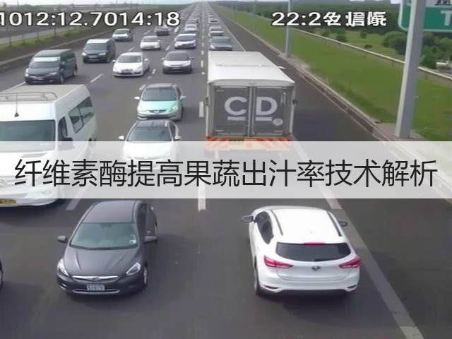 纤维素酶提高果蔬出汁率技术解析(图2) 纤维素酶提高果蔬出汁率技术解析(图2)