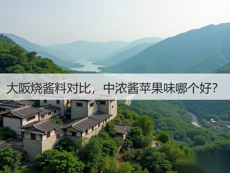 大阪烧酱料对比，中浓酱苹果味哪个好？