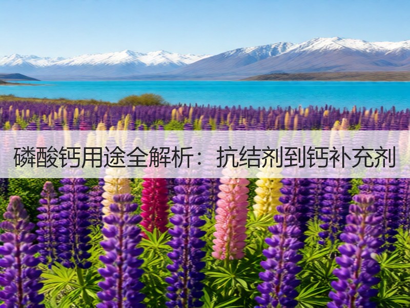 磷酸钙用途全解析：抗结剂到钙补充剂