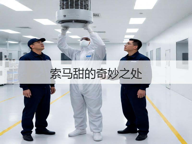 索马甜的奇妙之处