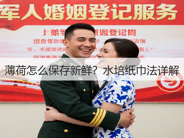 薄荷怎么保存新鲜?水培纸巾法详解(图2) 薄荷怎么保存新鲜?水培纸巾法详解(图2)