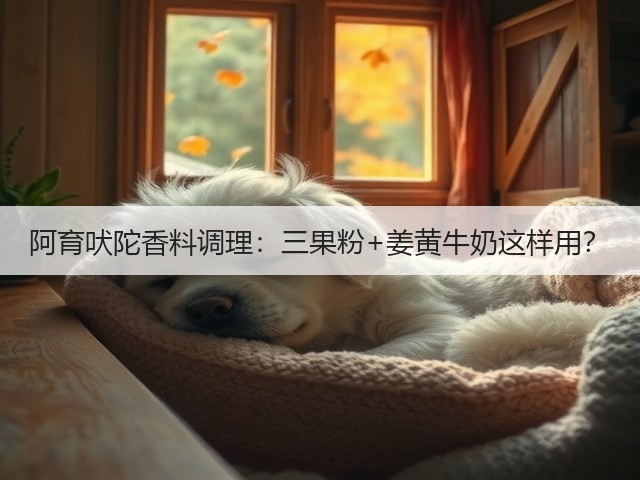 阿育吠陀香料调理:三果粉+姜黄牛奶这样用?(图1) 阿育吠陀香料调理:三果粉+姜黄牛奶这样用?(图1)