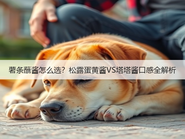 薯条蘸酱怎么选?松露蛋黄酱VS塔塔酱口感全解析(图2) 薯条蘸酱怎么选?松露蛋黄酱VS塔塔酱口感全解析(图2)