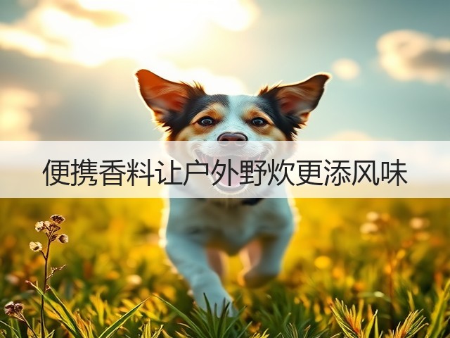 便携香料让户外野炊更添风味(图2) 便携香料让户外野炊更添风味(图2)