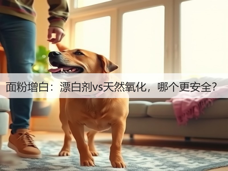 面粉增白：漂白剂vs天然氧化，哪个更安全？