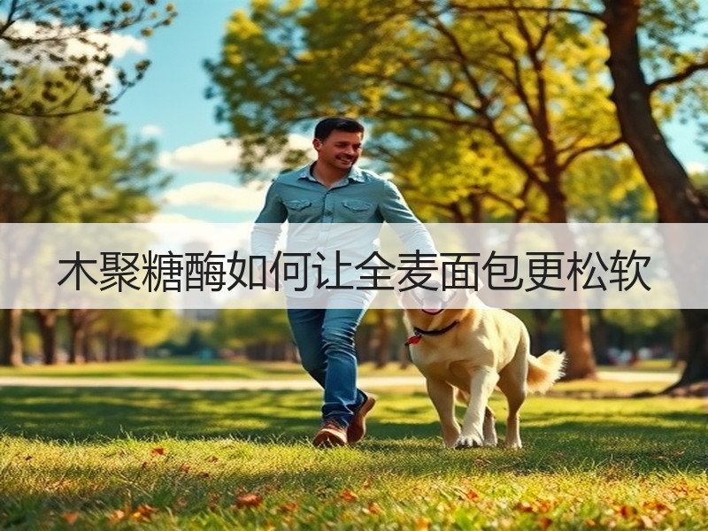 木聚糖酶如何让全麦面包更松软