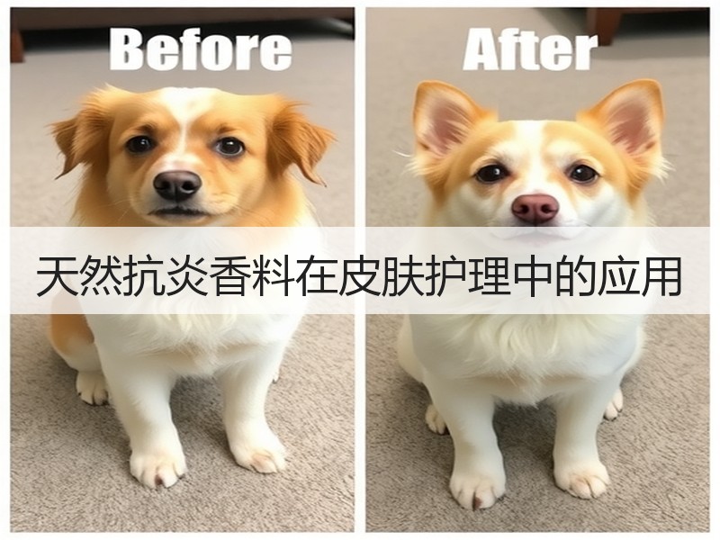天然抗炎香料在皮肤护理中的应用