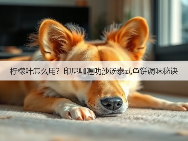 柠檬叶怎么用?印尼咖喱叻沙汤泰式鱼饼调味秘诀(图1) 柠檬叶怎么用?印尼咖喱叻沙汤泰式鱼饼调味秘诀(图1)