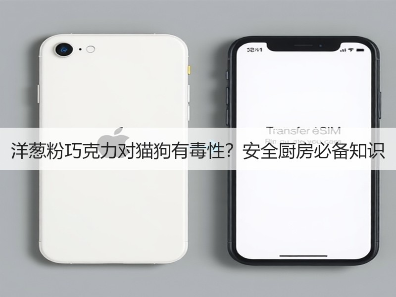 洋葱粉巧克力对猫狗有毒性？安全厨房必备知识