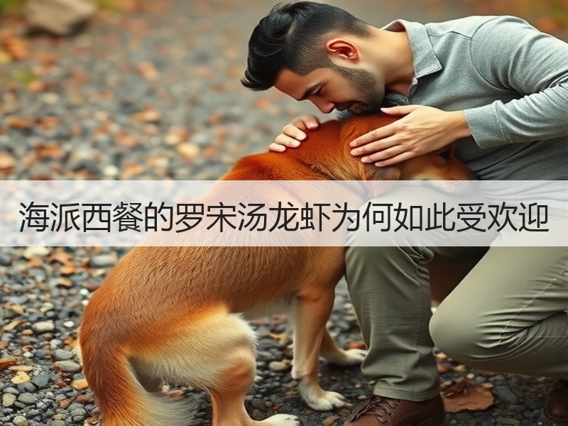 海派西餐的罗宋汤龙虾为何如此受欢迎