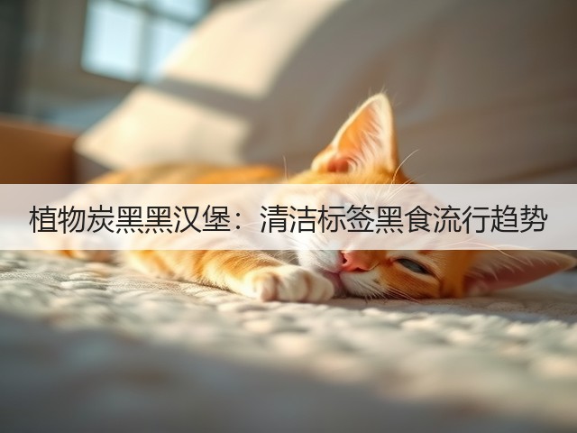 植物炭黑黑汉堡:清洁标签黑食流行趋势(图3) 植物炭黑黑汉堡:清洁标签黑食流行趋势(图3)