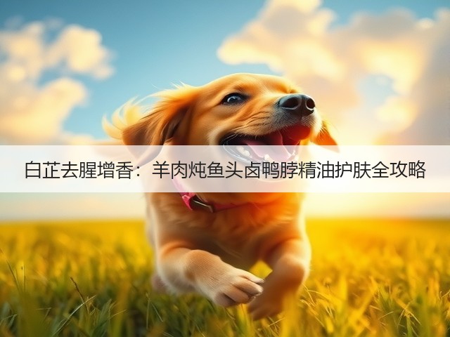 白芷去腥增香:羊肉炖鱼头卤鸭脖精油护肤全攻略(图1) 白芷去腥增香:羊肉炖鱼头卤鸭脖精油护肤全攻略(图1)