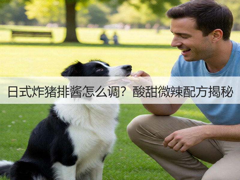 日式炸猪排酱怎么调？酸甜微辣配方揭秘
