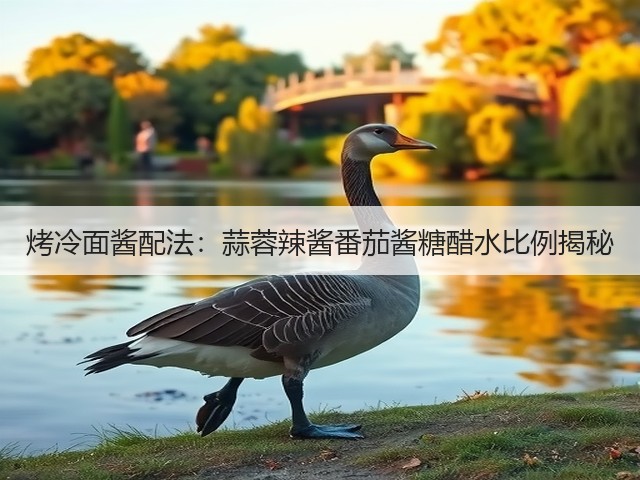 烤冷面酱配法:蒜蓉辣酱番茄酱糖醋水比例揭秘(图1) 烤冷面酱配法:蒜蓉辣酱番茄酱糖醋水比例揭秘(图1)