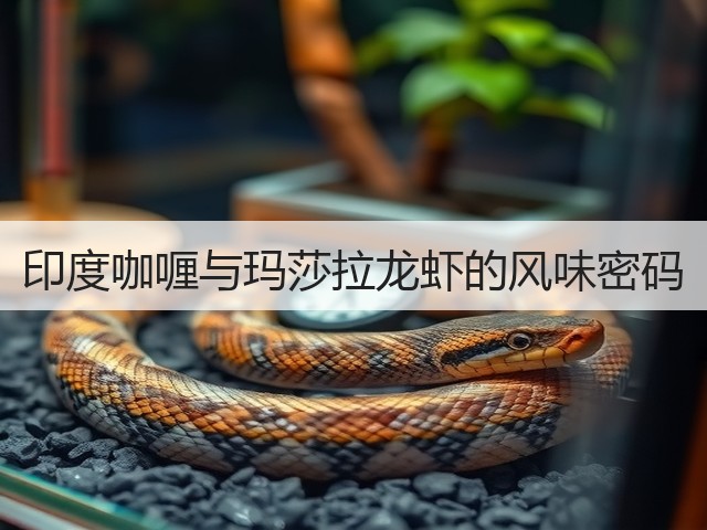 印度咖喱与玛莎拉龙虾的风味密码(图2) 印度咖喱与玛莎拉龙虾的风味密码(图2)