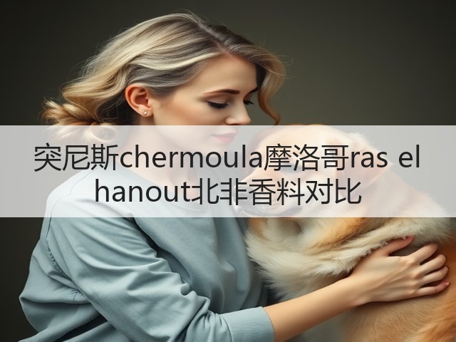 突尼斯chermoula摩洛哥ras el hanout北非香料对比(图1) 突尼斯chermoula摩洛哥ras el hanout北非香料对比(图1)