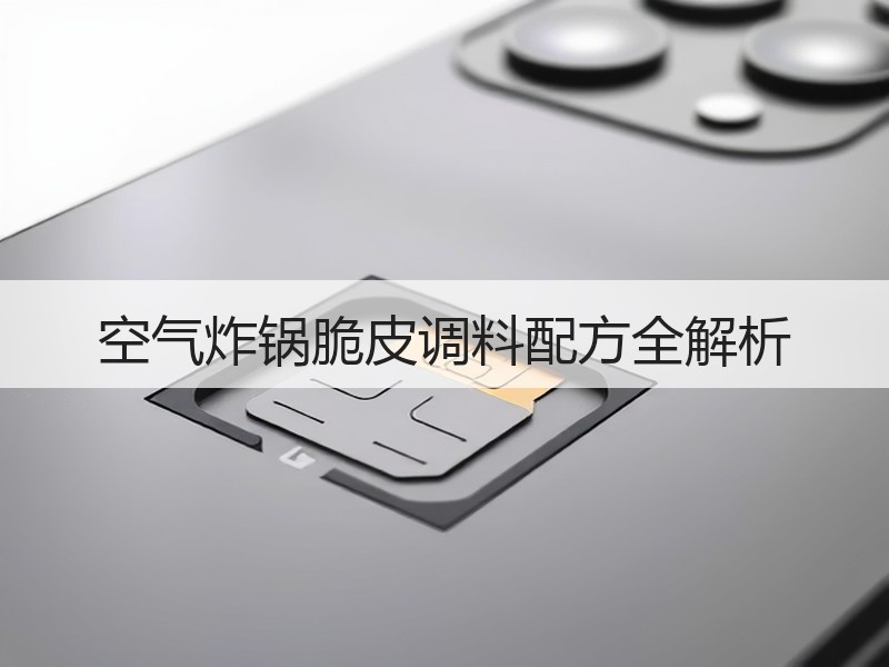空气炸锅脆皮调料配方全解析