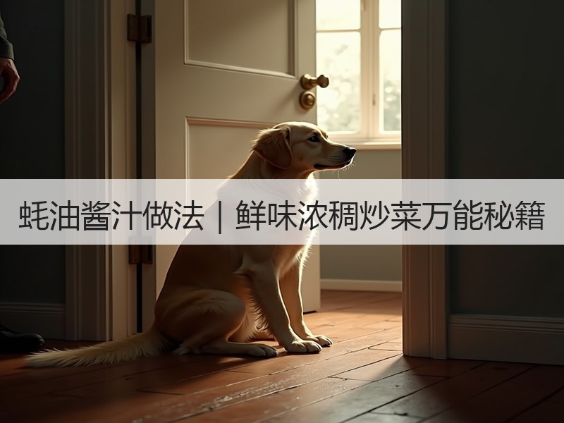 蚝油酱汁做法｜鲜味浓稠炒菜万能秘籍
