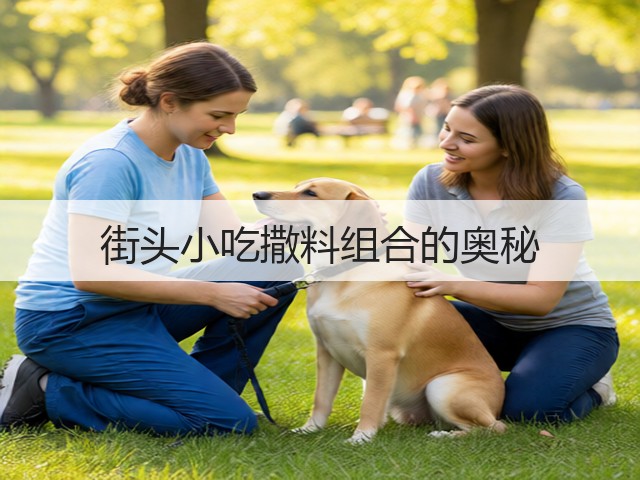 街头小吃撒料组合的奥秘(图2) 街头小吃撒料组合的奥秘(图2)